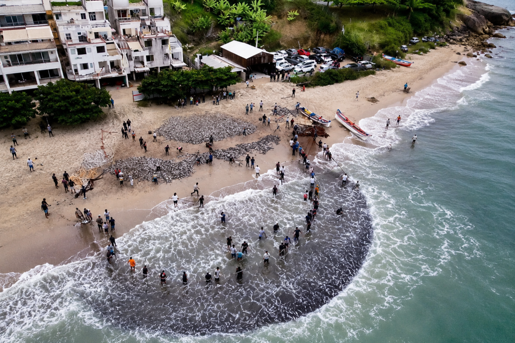primeiro-grande-lanco-de-tainha-de-2026-rende-cerca-de-20-mil-peixes-em-bombinhas