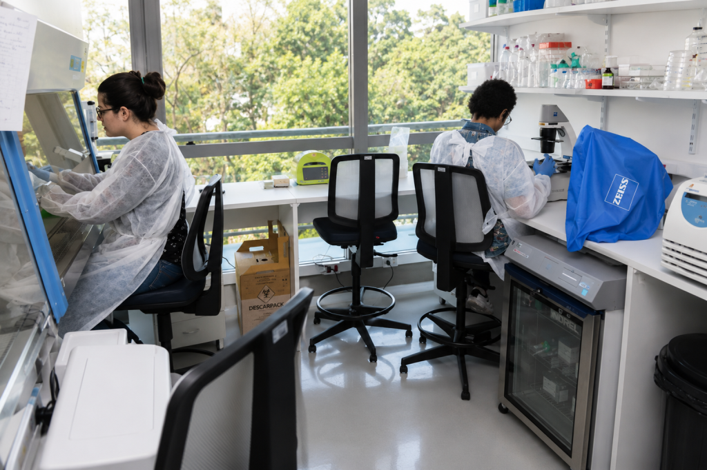 projeto-da-usp-usara-inteligencia-artificial-para-mapear-risco-de-dengue-em-sao-paulo