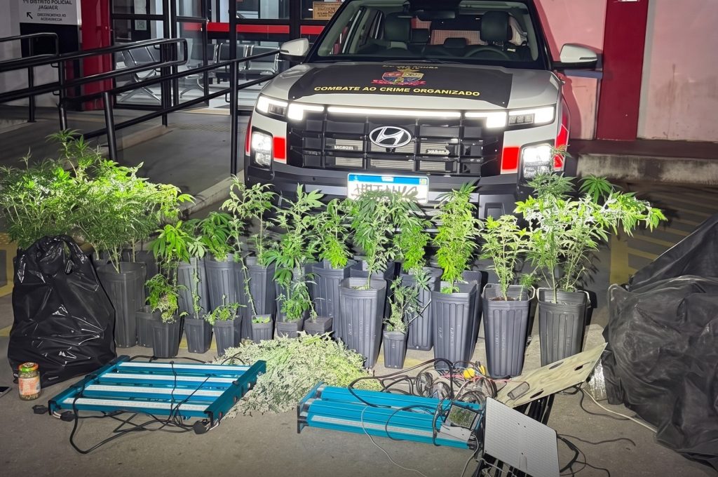 pm-desmantela-laboratorio-de-maconha-na-zona-norte-de-sao-paulo